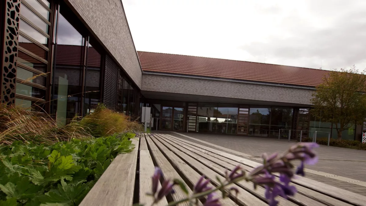 Grundschule Rödinghausen