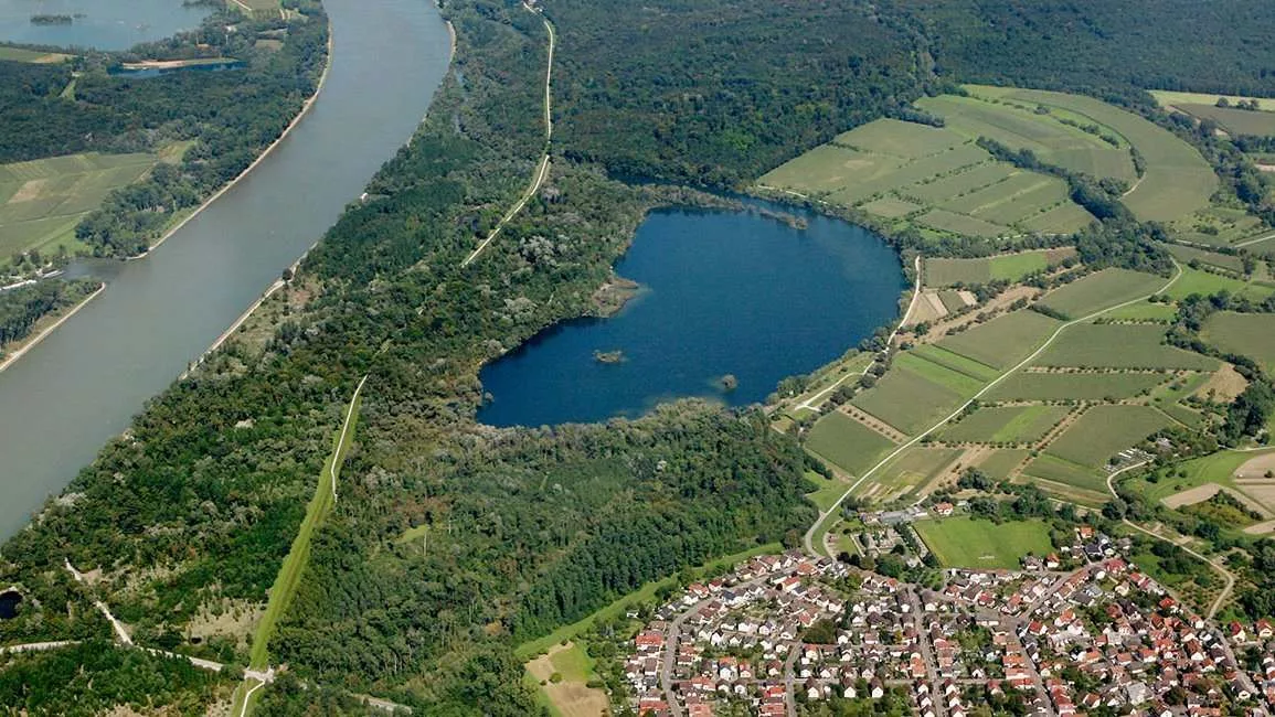 Hochwasserrückhalteraum Bellenkopf/Rappenwört 